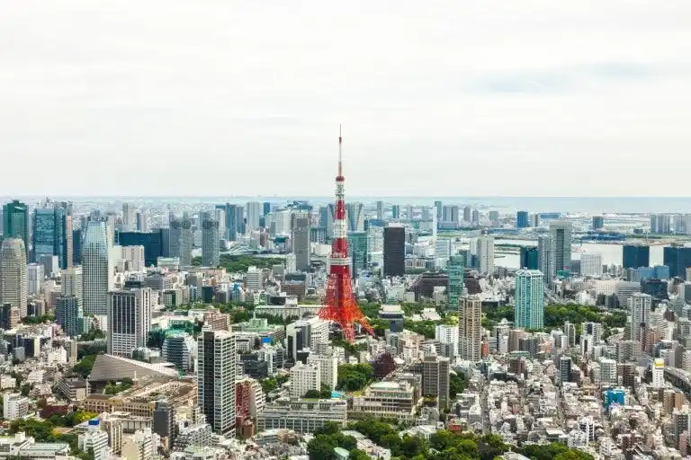 日本经营管理签证避坑指南：避开三大雷区，...