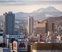 金色码头：十年深耕日韩市场，专业护航上市...