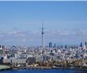 日本公司注册机构怎么选？2026 按需求...