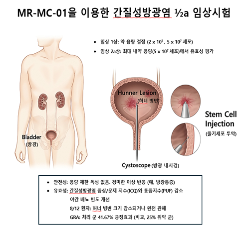 韩国研究团队做出了贡献世...