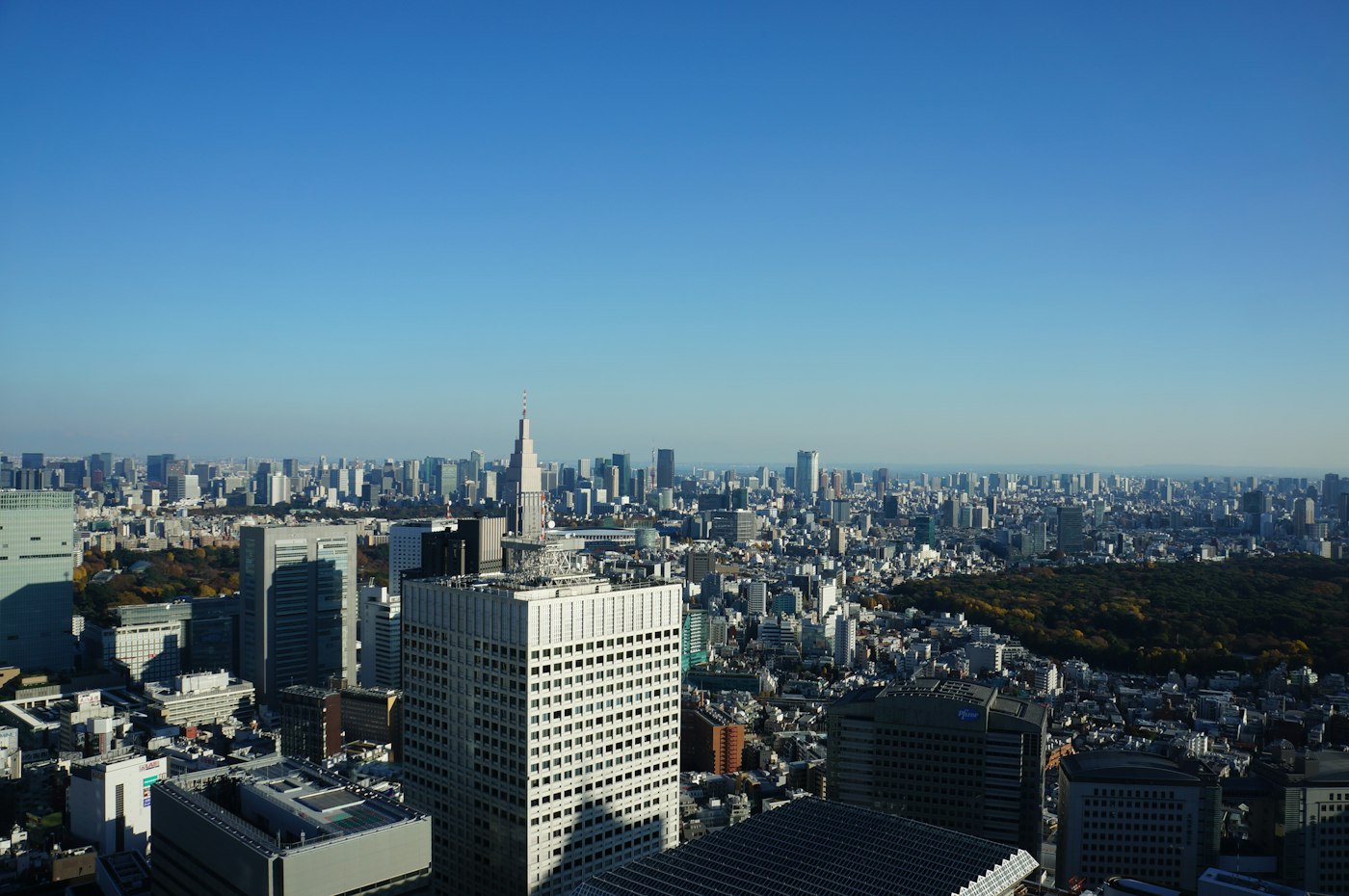 日本适格请求书（Invo..
