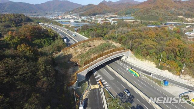 修建了生态通道……5年后..